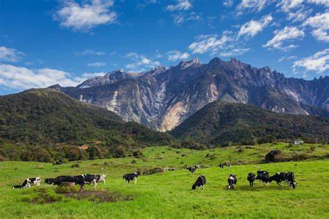 Kundasang – Kota Kinabalu